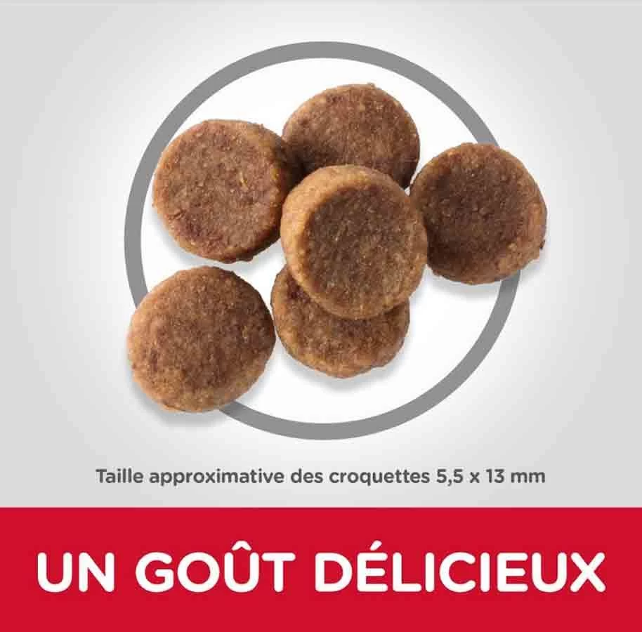 Hill's Science Plan Hill's Science Plan Puppy Large Healthy Development Poulet 16 Kg 5 Hill's Science Plan Hill's Science Plan Puppy Large Healthy Development Poulet 16 Kg – Image 3