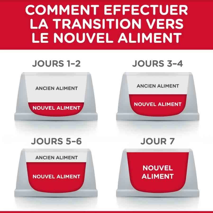 Hill's Science Plan Hill's Science Plan Puppy Large Healthy Development Poulet 16 Kg 6 Hill's Science Plan Hill's Science Plan Puppy Large Healthy Development Poulet 16 Kg – Image 4