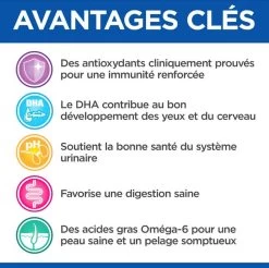 Hill's Science Plan VetEssentials Feline Kitten Growth Poulet 1,5 Kg -Hill's hill s vet essentials kitten growth poulet 3 1 1