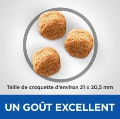 Hill's Science Plan VetEssentials Canine Adult Large Dental Health 13 Kg -Hill's hill s vetessentials canine adult large 13 kg2