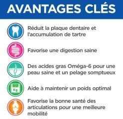 Hill's Science Plan VetEssentials Canine Adult Large Dental Health 13 Kg -Hill's hill s vetessentials canine adult large 13 kg3