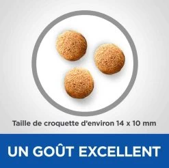 Hill's Science Plan VetEssentials Canine Adult Mini Dental Health 7 Kg 10 Hill's Science Plan VetEssentials Canine Adult Mini Dental Health 7 Kg -Hill's hill s vetessentials canine adult mini2 1