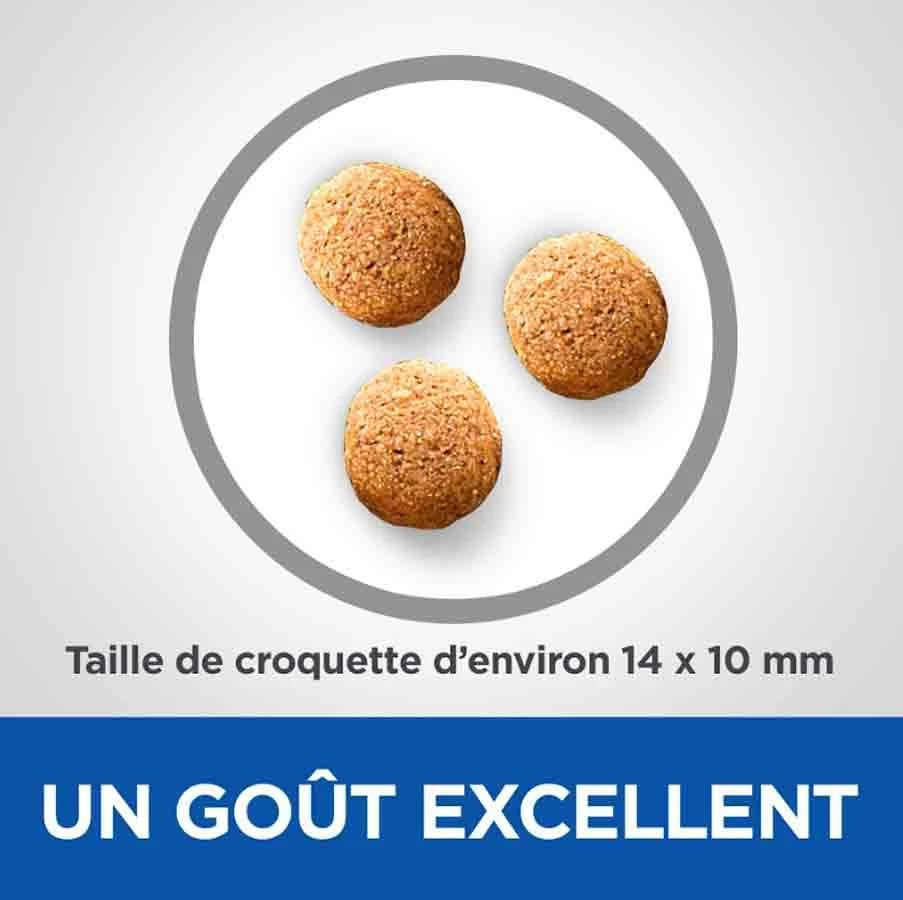 Hill's Science Plan VetEssentials Canine Adult Mini Dental Health 7 Kg 5 Hill's Science Plan VetEssentials Canine Adult Mini Dental Health 7 Kg – Image 3