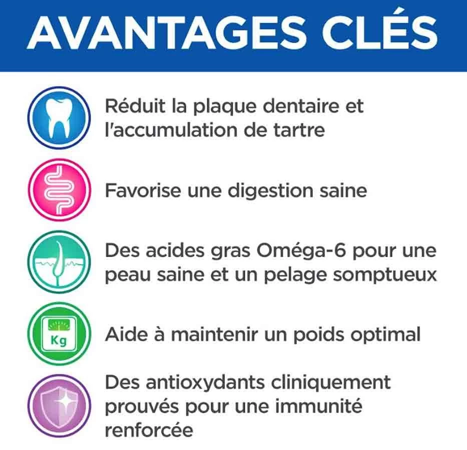 Hill's Science Plan VetEssentials Canine Adult Mini Dental Health 7 Kg 6 Hill's Science Plan VetEssentials Canine Adult Mini Dental Health 7 Kg – Image 4