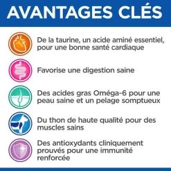 Hill's Science Plan VetEssentials Canine Adult Medium No Grain Thon & Pommes De Terre 2 Kg 10 Hill's Science Plan VetEssentials Canine Adult Medium No Grain Thon & Pommes De Terre 2 Kg -Hill's hill s vetessentials canine canine adult medium no grain thon pommes de terre3