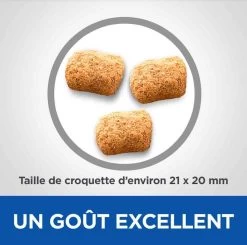Hill's Science Plan VetEssentials Canine Mature Dental Health Medium & Large Poulet 2 Kg 10 Hill's Science Plan VetEssentials Canine Mature Dental Health Medium & Large Poulet 2 Kg -Hill's hill s vetessentials canine mature dental health mediumlarge2