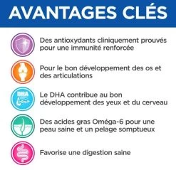 Hill's Science Plan VetEssentials Canine Puppy Growth Medium Poulet 10 Kg -Hill's hill s vetessentials canine puppy3 1