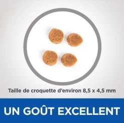 Hill's Science Plan VetEssentials Feline Adult No Grain Thon & Pommes De Terre 8 Kg -Hill's hill s vetessentials feline adult no grain thon pommes de terre 2 1 1 1