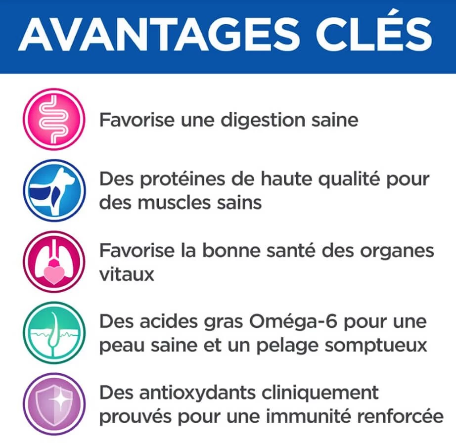 Hill's Science Plan VetEssentials Feline Adult Poulet 12 X 85 G 6 Hill's Science Plan VetEssentials Feline Adult Poulet 12 X 85 G – Image 4