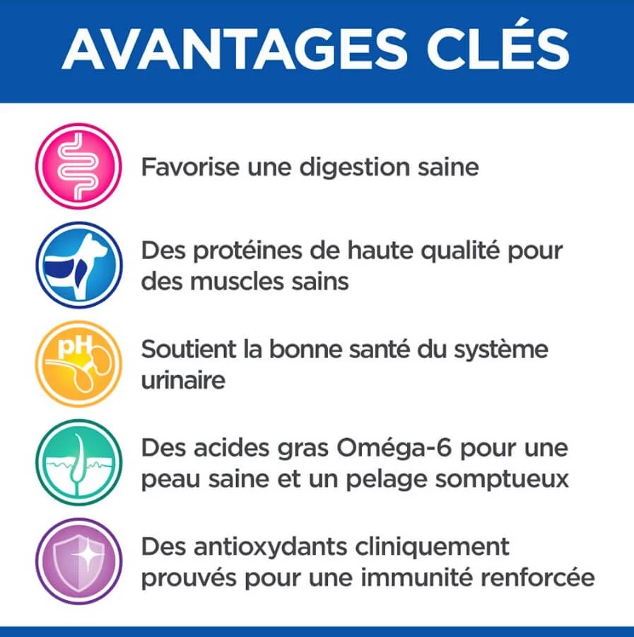 Hill's Science Plan VetEssentials Feline Adult Poulet 14 Kg 6 Hill's Science Plan VetEssentials Feline Adult Poulet 14 Kg – Image 4