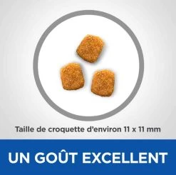 Hill's Science Plan VetEssentials Feline Mature Dental Health Poulet 1,5 Kg -Hill's hill s vetessentials feline mature dental health poulet 2 5 kg2 1