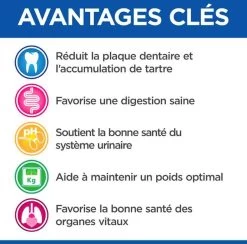Hill's Science Plan VetEssentials Feline Mature Dental Health Poulet 2,5 Kg -Hill's hill s vetessentials feline mature dental health poulet 2 5 kg3