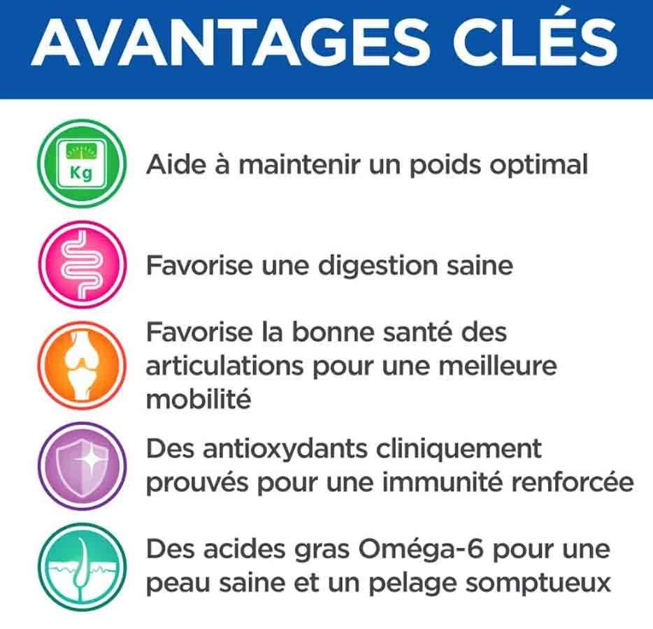 Hill's Science Plan VetEssentials Neutered Dog Adult Large Breed Poulet 12 Kg 6 Hill's Science Plan VetEssentials Neutered Dog Adult Large Breed Poulet 12 Kg – Image 4