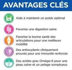Hill's Science Plan VetEssentials Neutered Dog Adult Medium Poulet 10 Kg -Hill's hill s vetessentials neutered dog adult medium 3 1