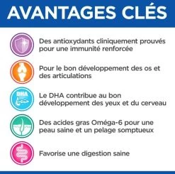 Hill's Science Plan VetEssentials Puppy Growth Small & Mini Poulet 2 Kg 10 Hill's Science Plan VetEssentials Puppy Growth Small & Mini Poulet 2 Kg -Hill's hill s vetessentials puppy mini 2 kg3