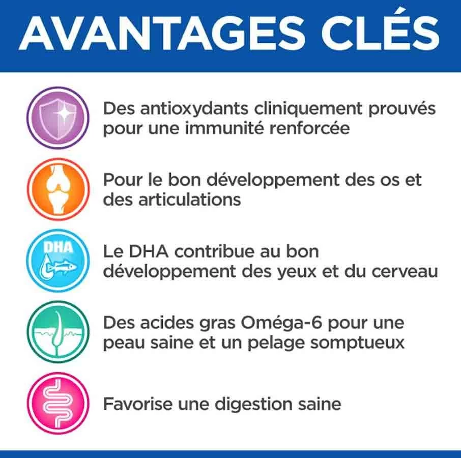 Hill's Science Plan VetEssentials Puppy Growth Small & Mini Poulet 2 Kg 6 Hill's Science Plan VetEssentials Puppy Growth Small & Mini Poulet 2 Kg – Image 4