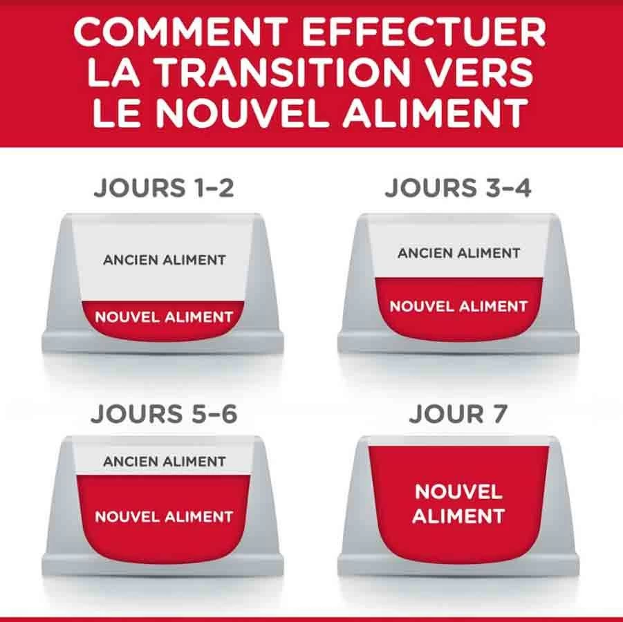 Hill's Science Plan Hill's Science Plan Feline Adult Poulet 10 Kg 6 Hill's Science Plan Hill's Science Plan Feline Adult Poulet 10 Kg – Image 4