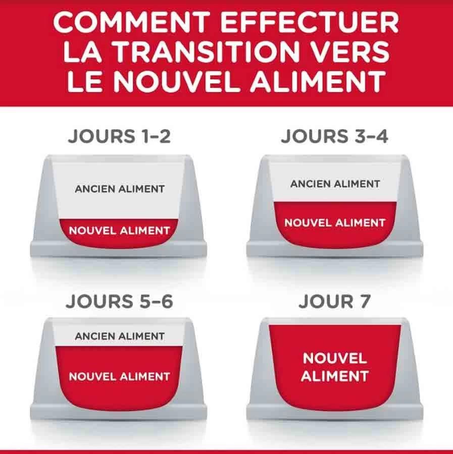 Hill's Science Plan Hill's Science Plan Chat Young Adult Sterilisé Poulet 10 Kg 6 Hill's Science Plan Hill's Science Plan Chat Young Adult Sterilisé Poulet 10 Kg – Image 4