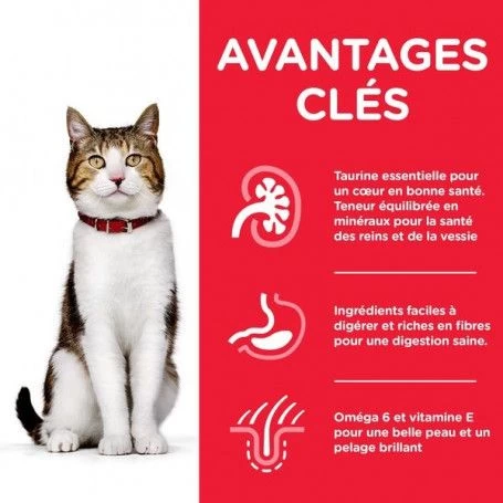 Feline Mature Adult 7+ Poulet 4 Feline Mature Adult 7+ Poulet – Image 2