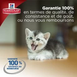 Hill's Science Plan Hill's Science Plan Feline Kitten Poulet 1,5 Kg 12 Hill's Science Plan Hill's Science Plan Feline Kitten Poulet 1,5 Kg -Hill's kitten healthy development 6 2