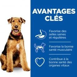 Vet Essentials Canine Adult Healthy Digestive Biome Medium 13 Vet Essentials Canine Adult Healthy Digestive Biome Medium -Hill's vet essentials canine adult healthy digestive biome large 10