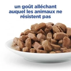 Vet Essentials Chat Multi-Benefit Adult 1+ Saumon Sachet Repas -Hill's vet essentials chat multi benefit adult 1 saumon sachet re 5