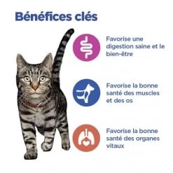 Vet Essentials Chat Multi-Benefit Adult Pack Mixte Sachet Repas 14 Vet Essentials Chat Multi-Benefit Adult Pack Mixte Sachet Repas -Hill's vet essentials chat multi benefit adult poulet sa pack m 3