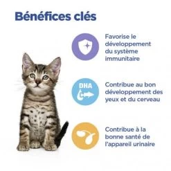 Vet Essentials Chat Multi-Benefit Kitten Poulet Sachet Repas -Hill's vet essentials chat multi benefit kitten poulet sachet repas 2