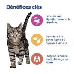 Vet Essentials Chat Multi-Benefit Mature Adulte 7+ Poulet Sachet Repas -Hill's vet essentials chat multi benefit matur adulte 7 poulet sachet repas 2