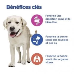 Vet Essentials Chien Multi-Benefit Adult + Large Breed Agneau & Riz 14 Vet Essentials Chien Multi-Benefit Adult + Large Breed Agneau & Riz -Hill's vet essentials chien multi benefit adult 1 l breed agnri 3