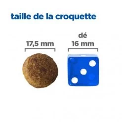 Vet Essentials Chien Multi-Benefit Adult + Large Breed Agneau & Riz 15 Vet Essentials Chien Multi-Benefit Adult + Large Breed Agneau & Riz -Hill's vet essentials chien multi benefit adult 1 l breed agnri 4