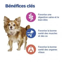 Vet Essentials Chien Multi-Benefit Adult + Small & Mini Agneau & Riz -Hill's vet essentials chien multi benefit adult 1 smallmini ar 2