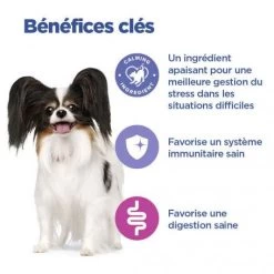 Vet Essentials Chien Multi-Benefit + Calm Adult 1+ Small & Mini -Hill's vet essentials chien multi benefit calm adult 1 smm po 3