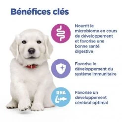 Vet Essentials Chien Multi-Benefit Puppy Large Breed Poulet 15 Vet Essentials Chien Multi-Benefit Puppy Large Breed Poulet -Hill's vet essentials chien multi benefit puppy large breed poulet 5