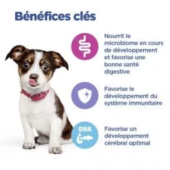 Vet Essentials Chien Multi-Benefit Puppy Medium Poulet 12 Vet Essentials Chien Multi-Benefit Puppy Medium Poulet -Hill's vet essentials chien multi benefit puppy medium poulet 2