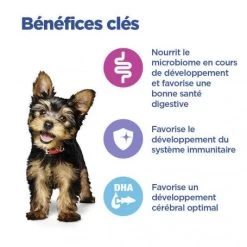 Vet Essentials Chien Multi-Benefit Puppy Small & Mini Poulet -Hill's vet essentials chien multi benefit puppy small mini poulet 2