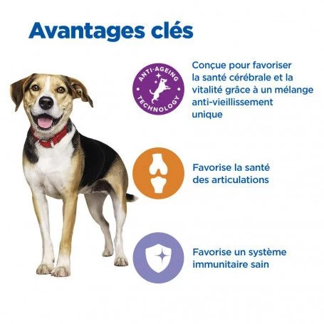 Vet Essentials Chien Multi-Benefit + Senior Health M&L Poul. 5 Vet Essentials Chien Multi-Benefit + Senior Health M&L Poul. – Image 3