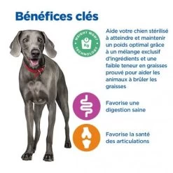 Vet Essentials Chien Multi-Benefit + Weight Adult + Large Breed Poulet 12 Vet Essentials Chien Multi-Benefit + Weight Adult + Large Breed Poulet -Hill's vet essentials chien multi benefit wei adult 1 larb po 3