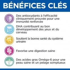 Vet Essentials Feline Kitten Growth Poulet Sachet Repas -Hill's vet essentials feline kitten growth poulet sachet repas 4