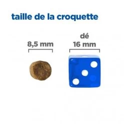 Vet Essentials Mult-Benefit Chat Adult No Grain Thon & Pomme De Terre -Hill's vet essentials mult benefit chat adult no grain thon pdt 4