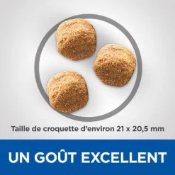 Vet Essentials Canine Adult Dental Health Large Breed Poulet -Hill's vetessentials canine adult large breed 2