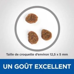 Vet Essentials Canine Adult Medium No Grain Thon & Pommes De Terre 8 Vet Essentials Canine Adult Medium No Grain Thon & Pommes De Terre -Hill's vetessentials canine adult medium no grain thon pommes de terre 2